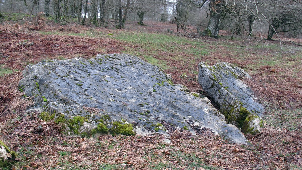 Uraska I zutarria, Entzia