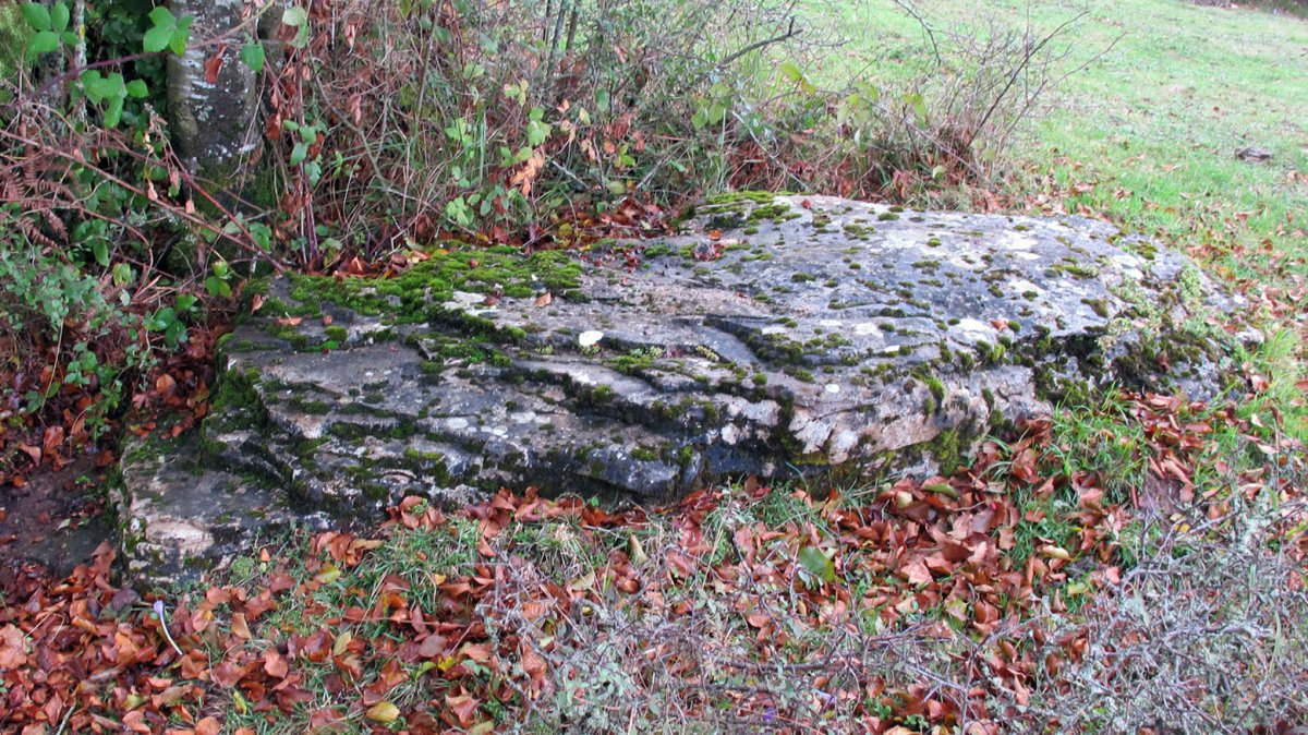 Uraska II zutarria, Entzia