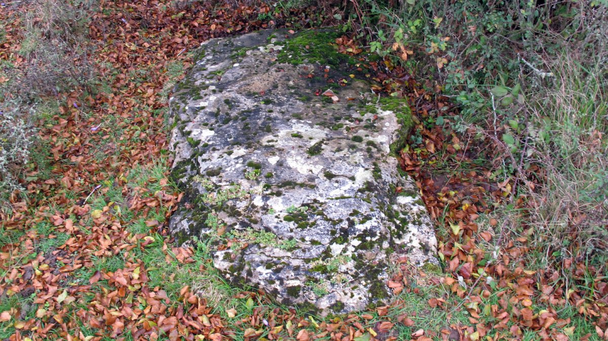 Uraska II zutarria, Entzia