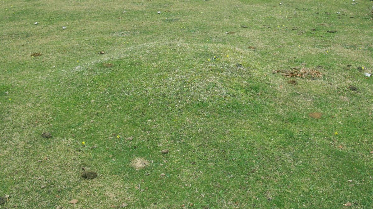 Larrazabal VI tumulua, Entzia