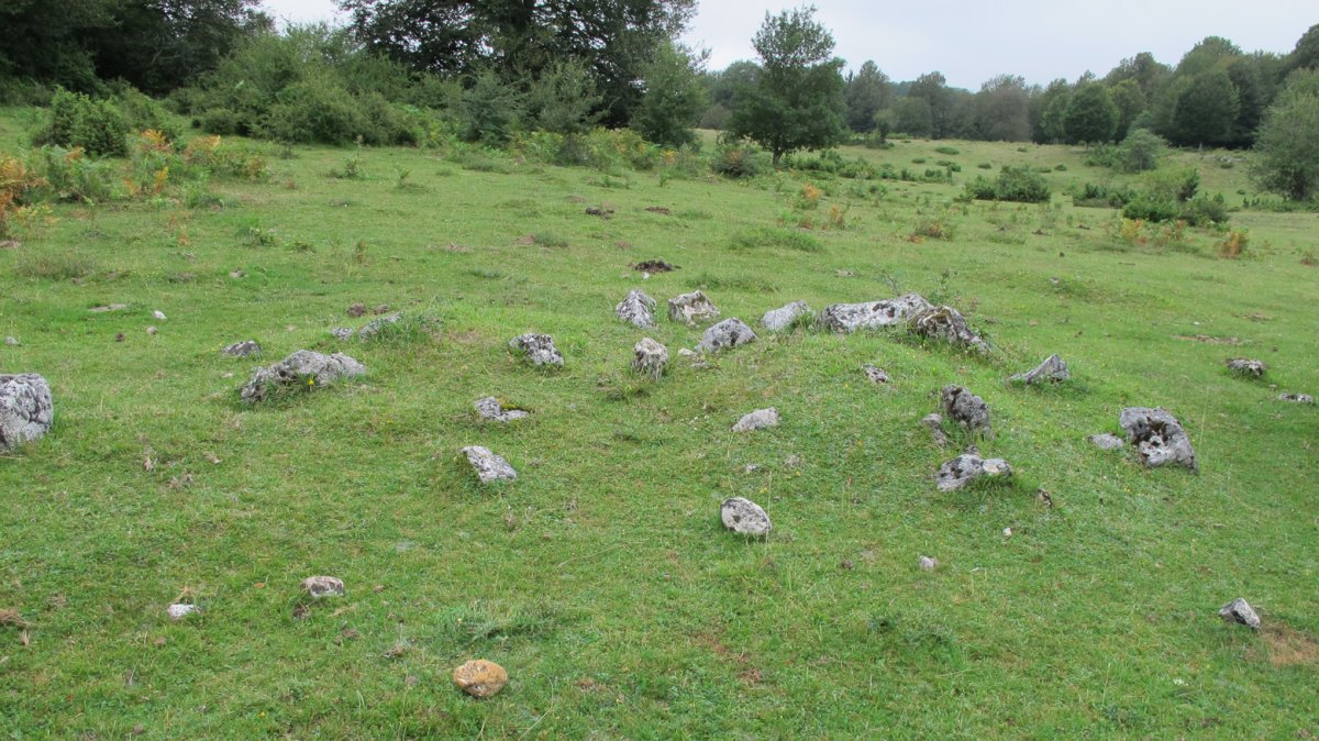 Larrazabal VII harrespila, Entzia