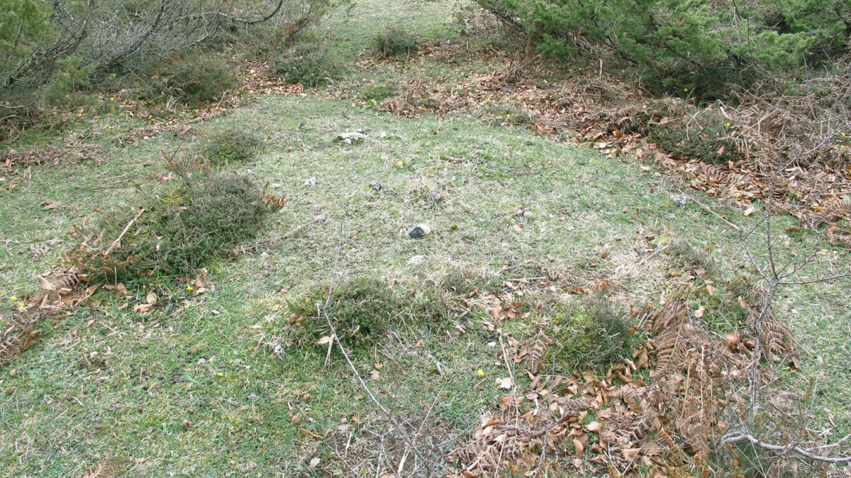 Larrazabal IX tumulua, Entzia