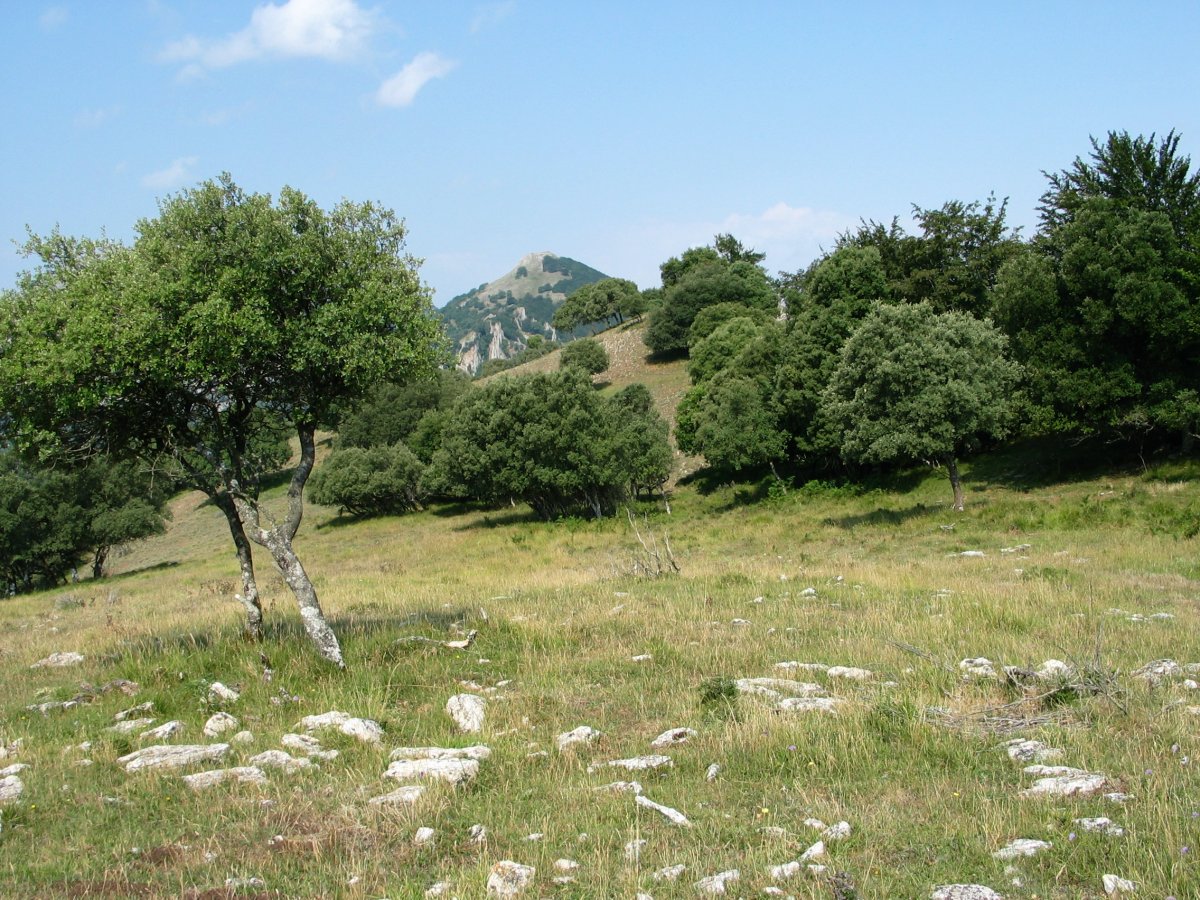 Gandorreko ikuspegi bat