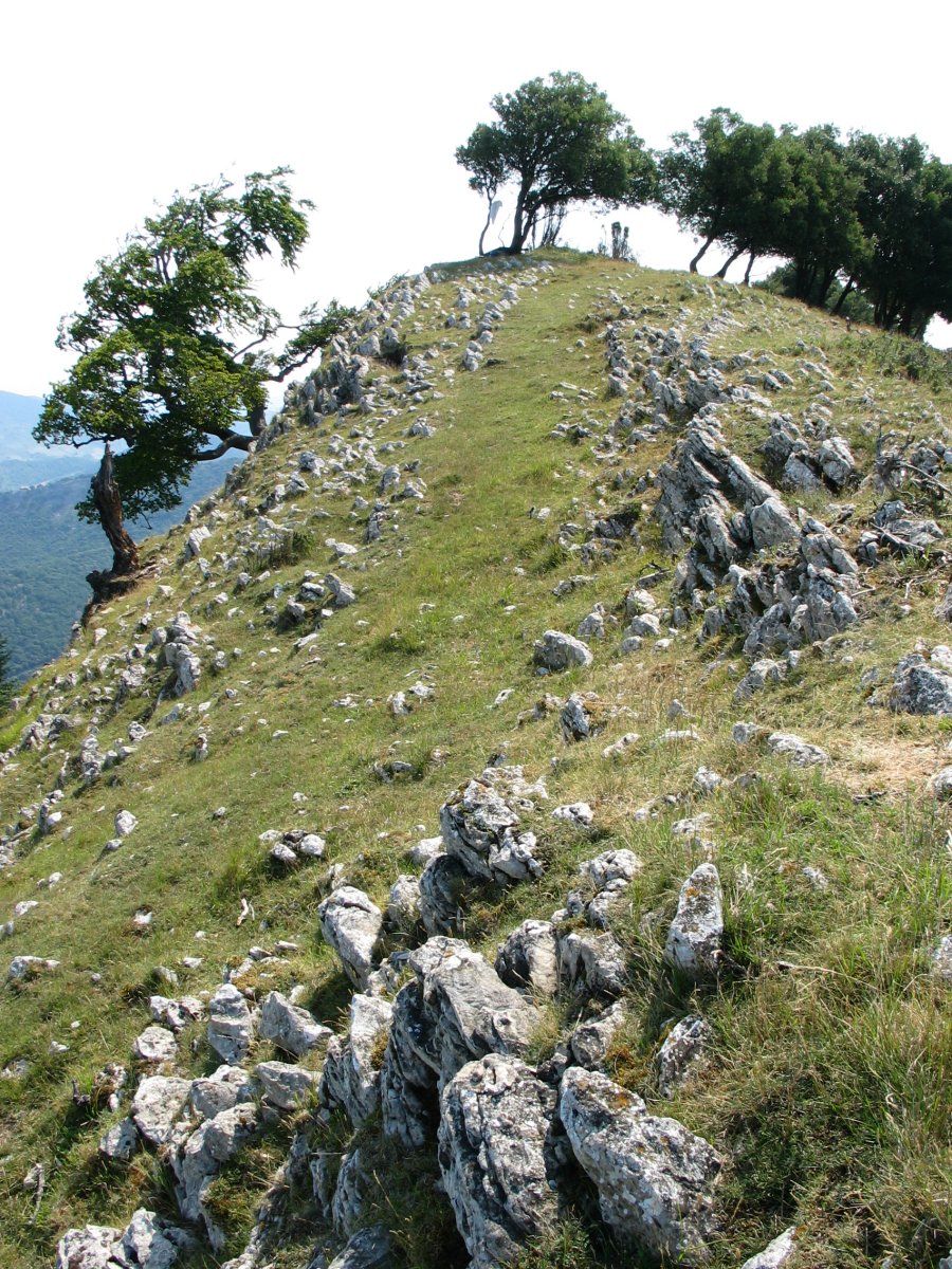 Tontorra mendebaldetik