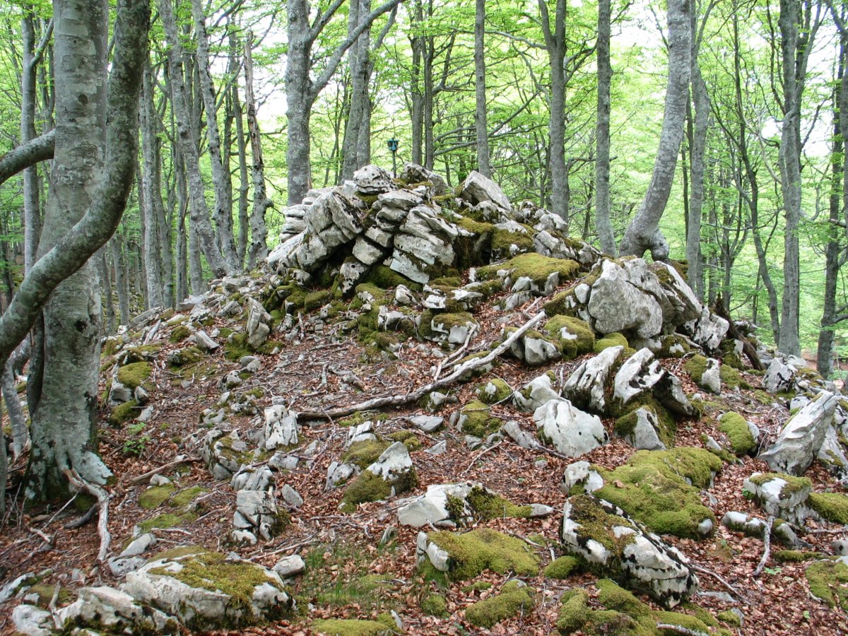 Inguruko muino harritsua, buzoi eta guzti