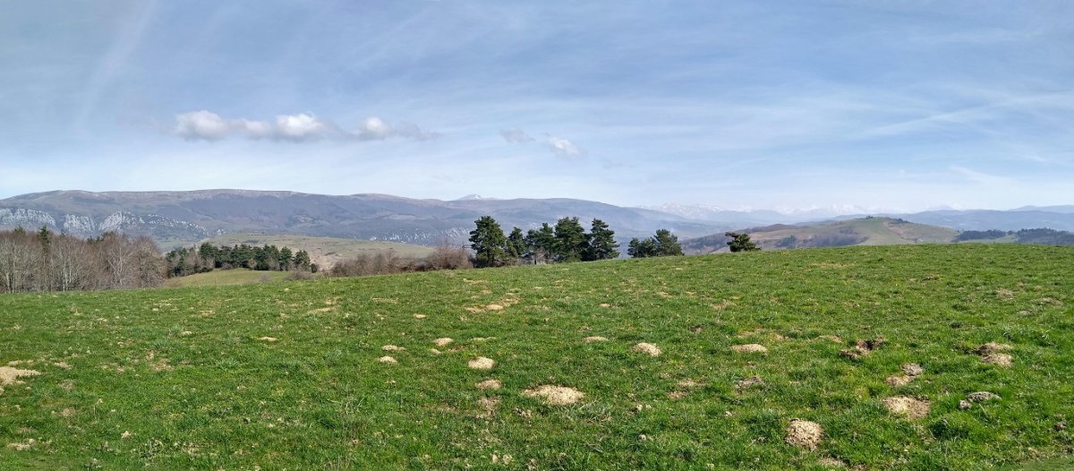 Arano gaineko gailurra