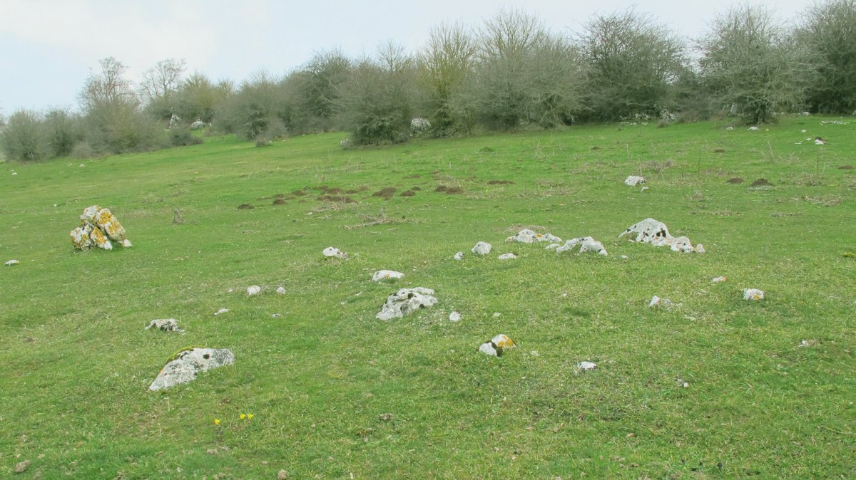 Legaire XIV harrespila, Entzia