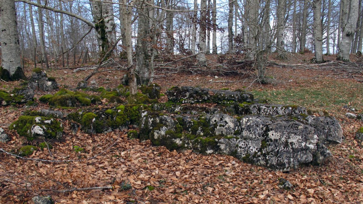 Larrazabal 1-2 zutarria, Entzia