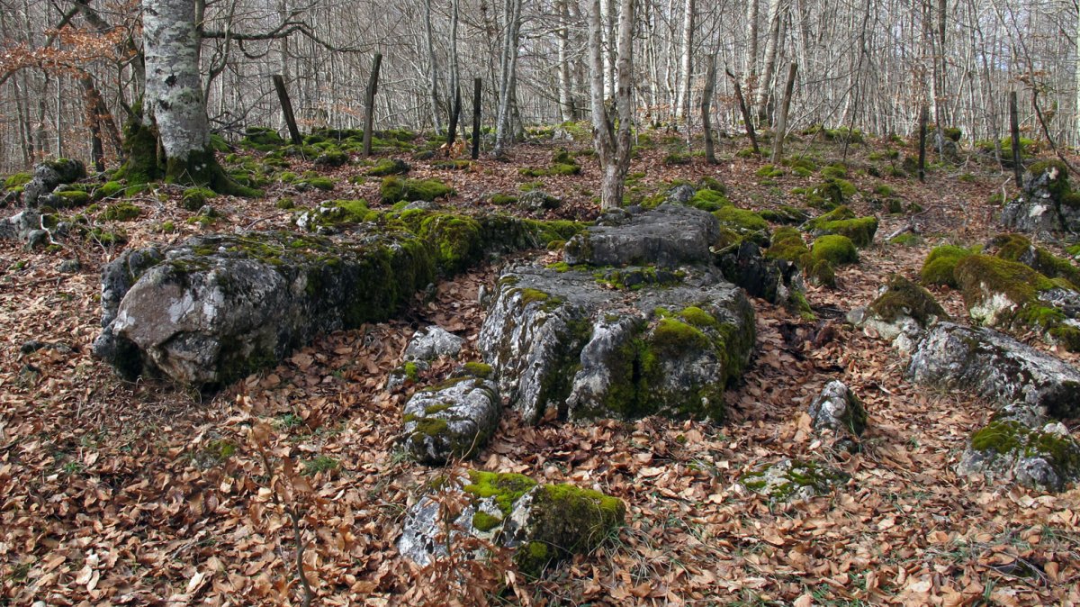 Larrazabal 1-2 zutarria, Entzia