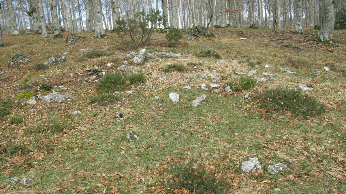 Igurita trikuharria, Entzia