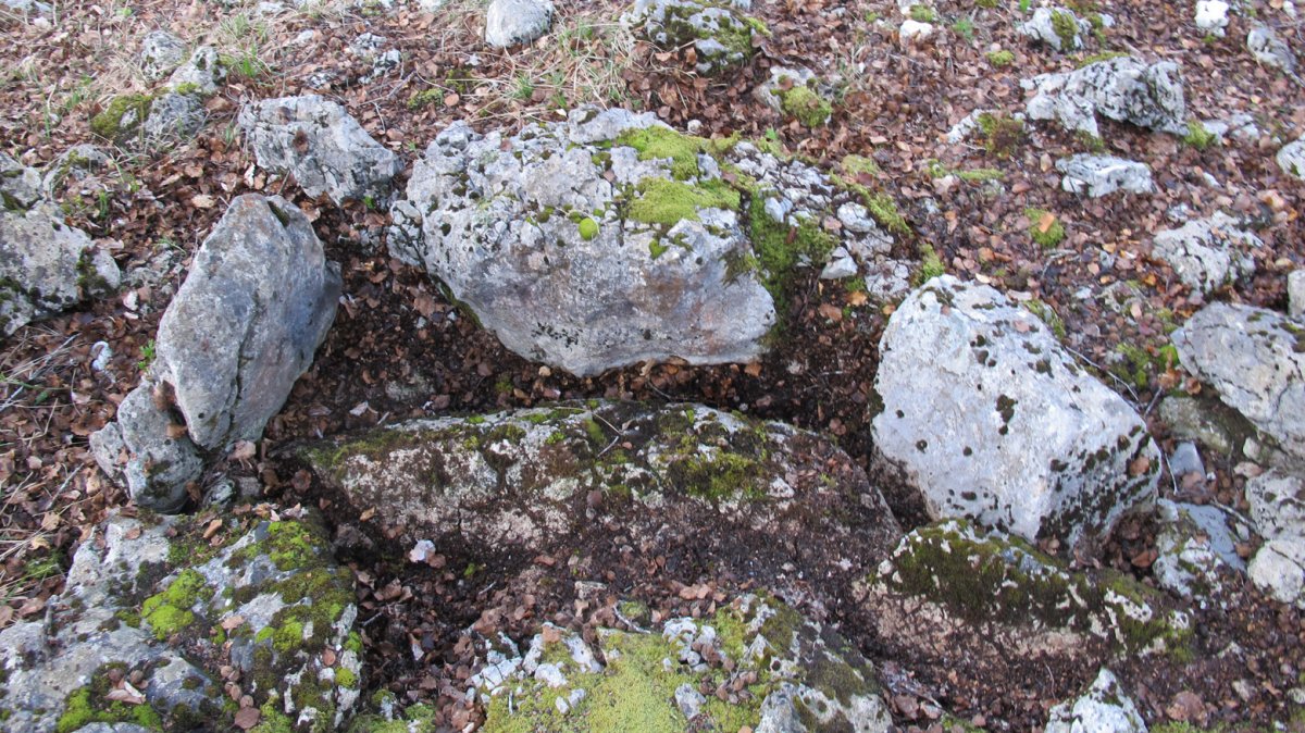 Berjalaran 3 erdi trikuharria, Donemiliaga