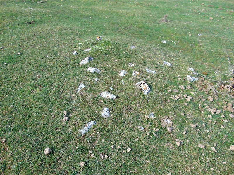 Lagaire Norte Eremu Tumularra