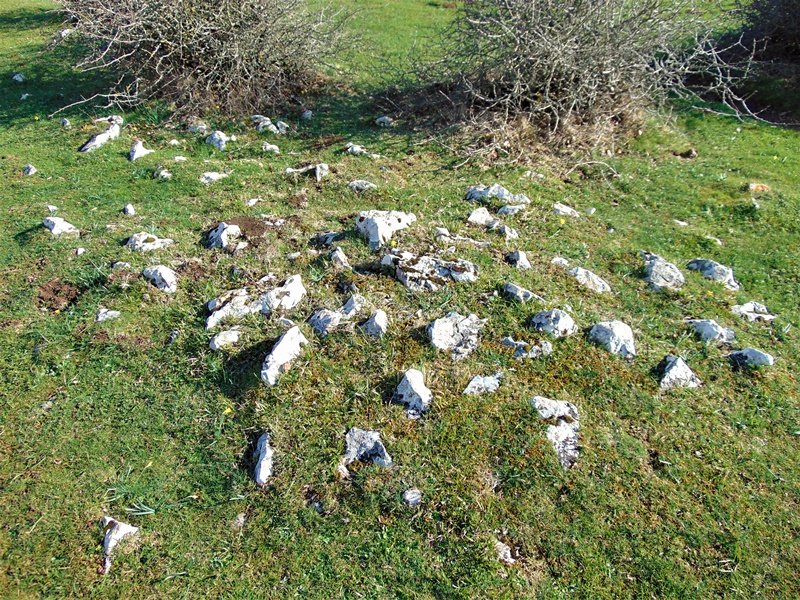 Legaire Bidea Tumulua