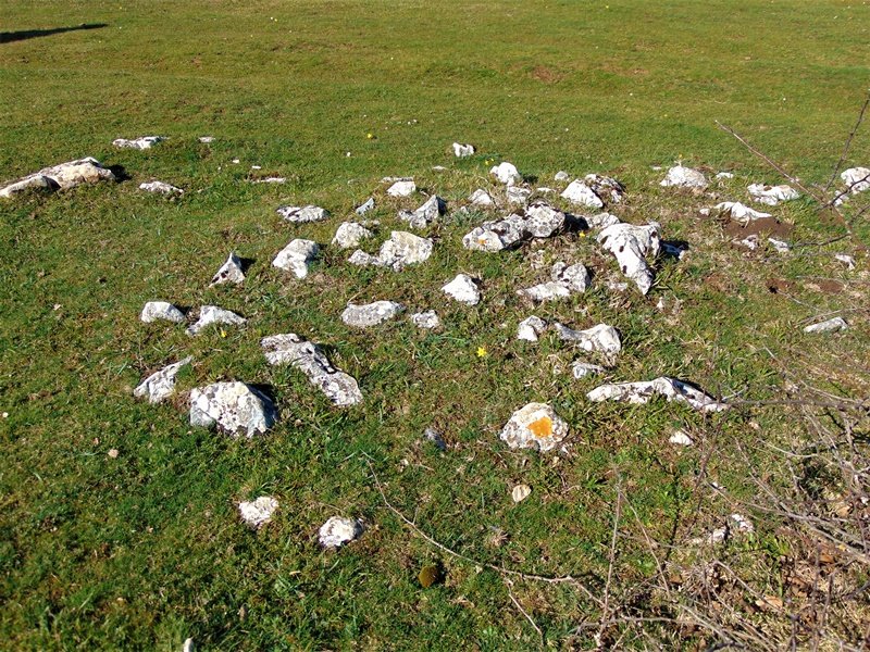 Legaire Bidea Tumulua