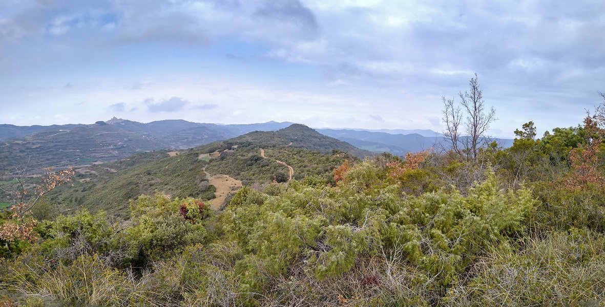 Capaburros, Beltranlarratzetik