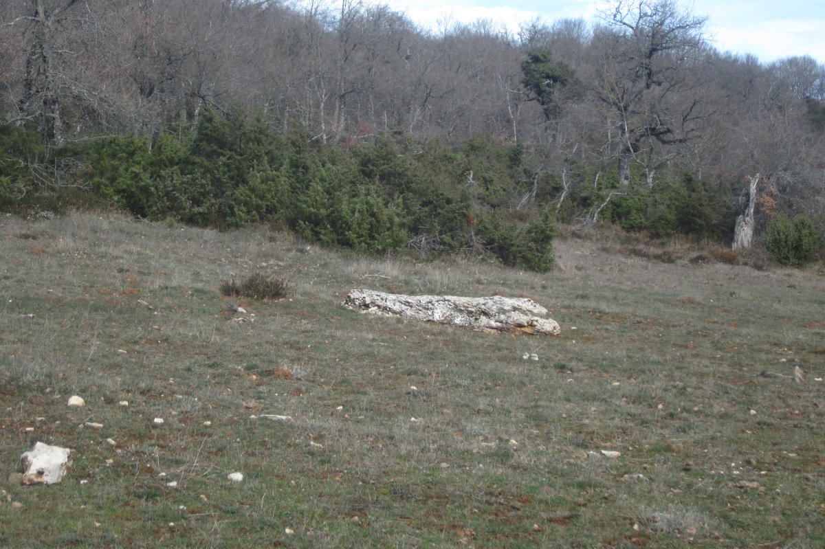 Monolito El Pelado de Aletxa (Febrero 2020)