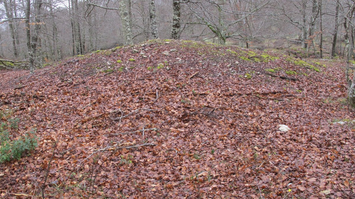 Urkibiburandi tumulua, Entzia