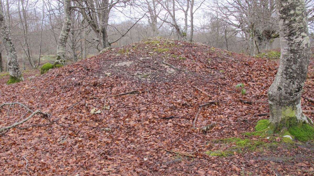 Urkibiburandi tumulua, Entzia