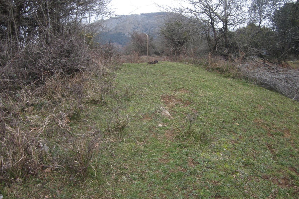 Fondo de Cabaña San Donato (Enero 2020)