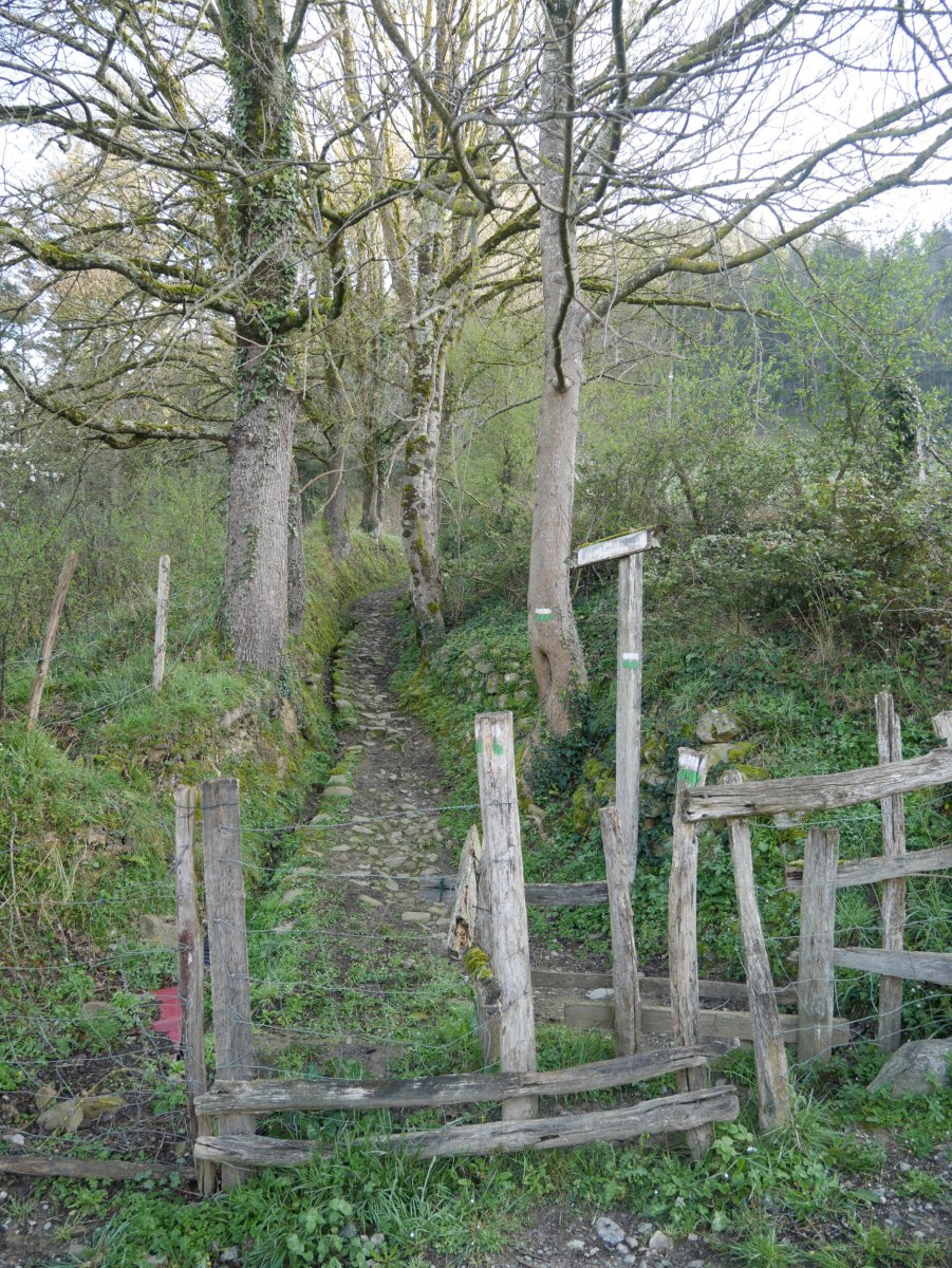 San Martin aldera abiatzen den PR bidea