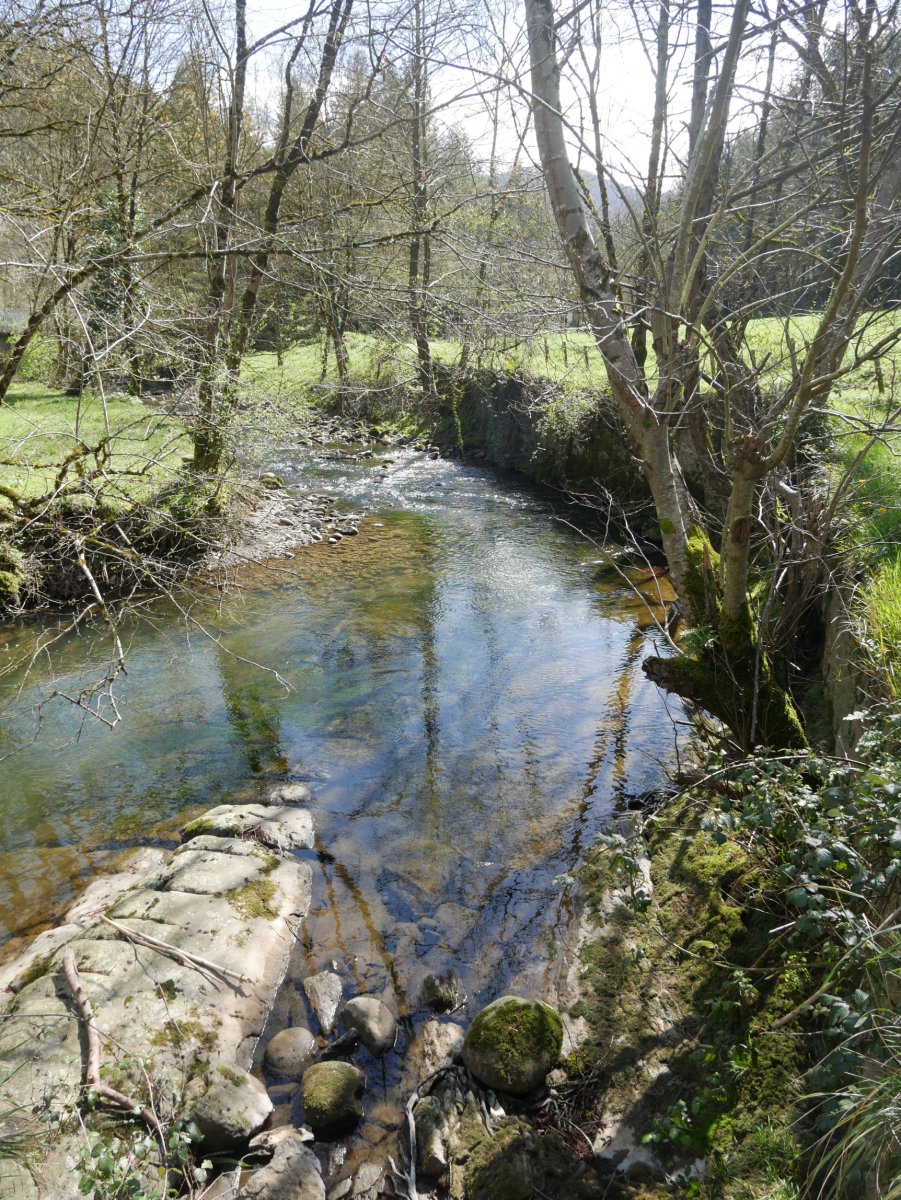 Ergoiena eta San Gregorio arteko bidea