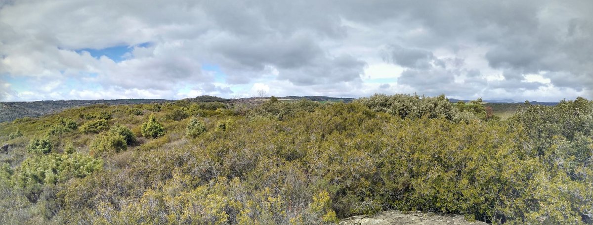 Sasiak hartutako azken metroak