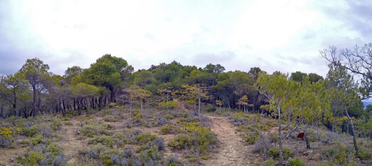 Montenegroko gainaldea