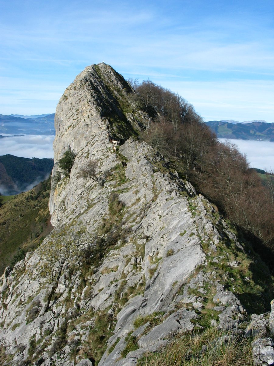 Intzarzu: azken txanpa ekialdetik