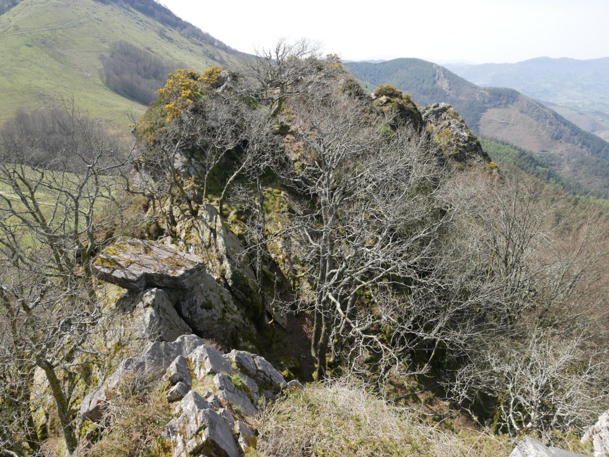 HMko tontorra IEko tontorretik