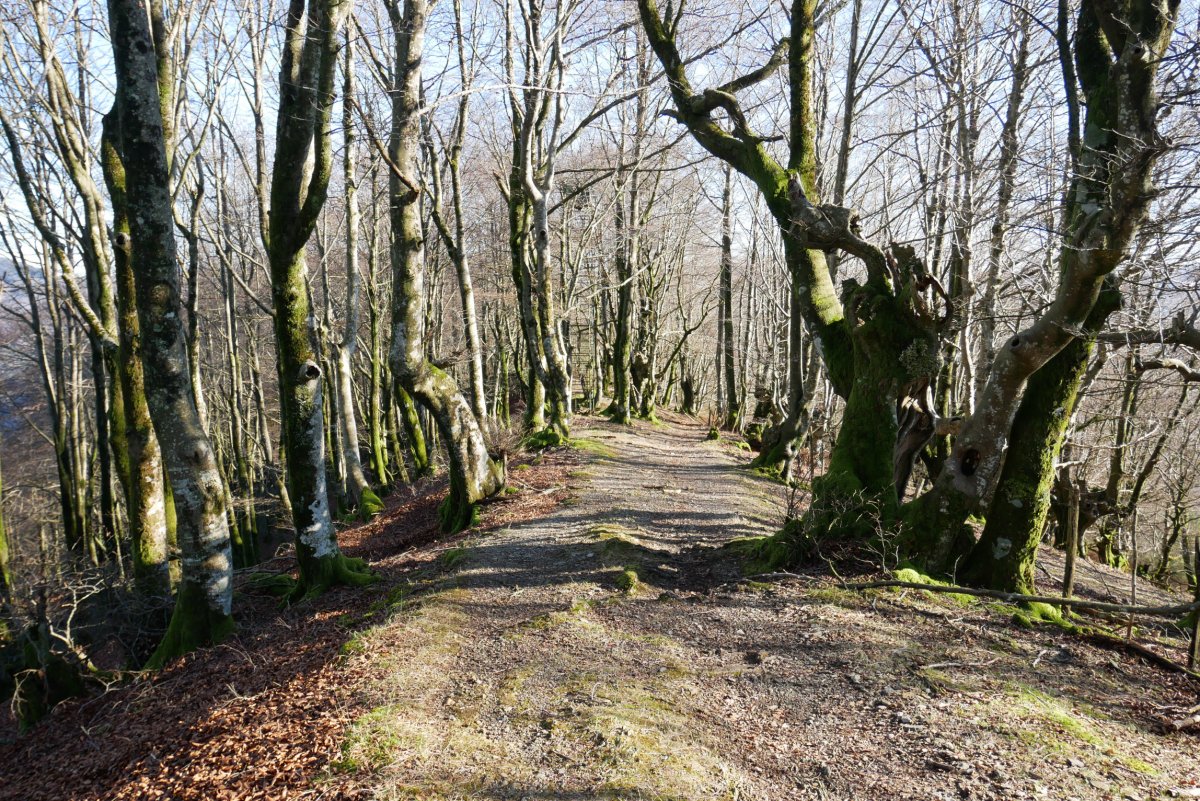 Mugarrietatik behera