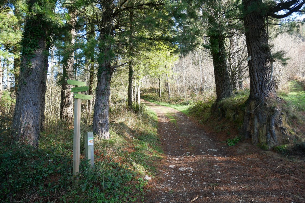 Musustegietako bidegurutzea