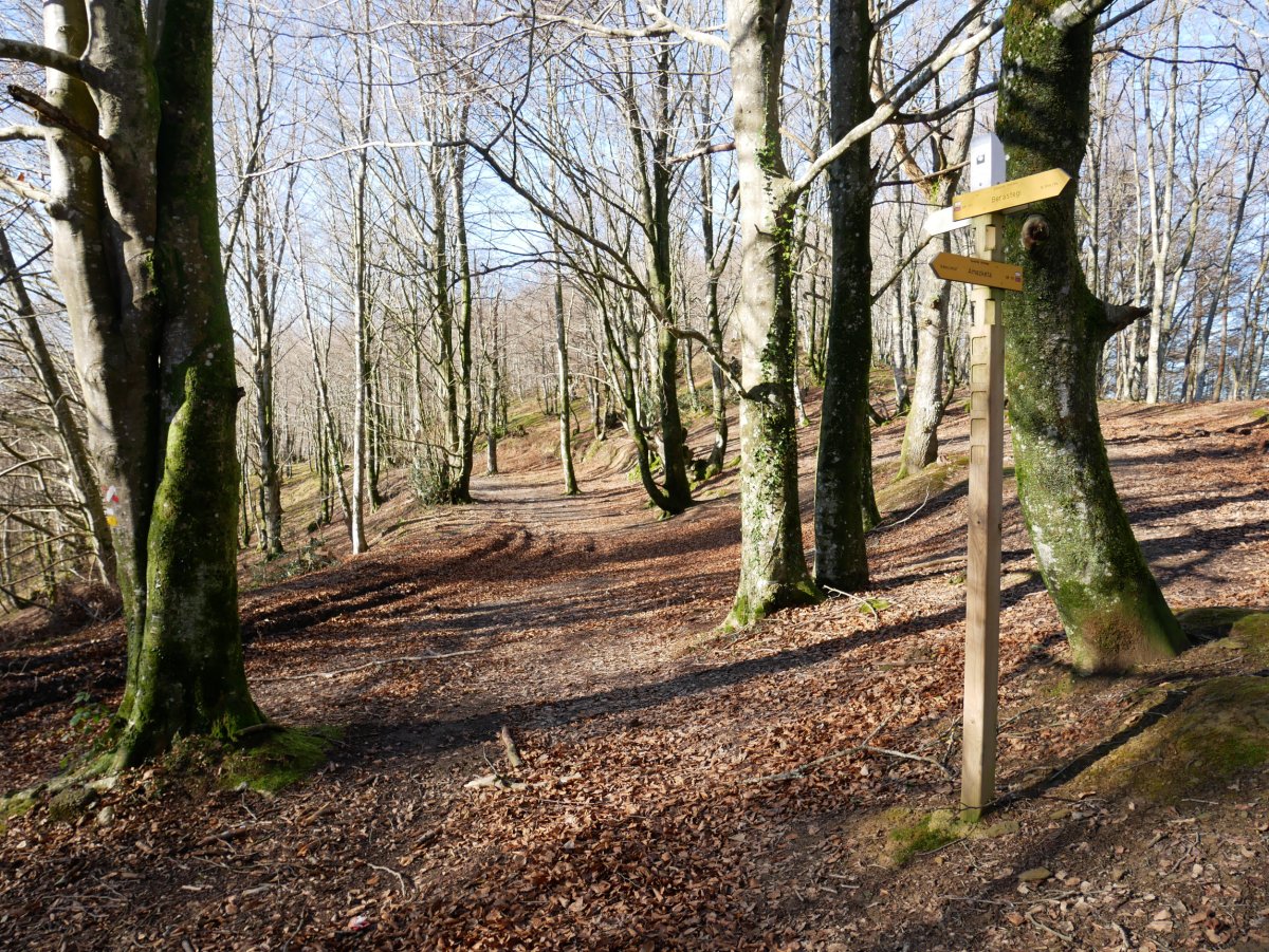 Norabide postea Arrauneta aldean