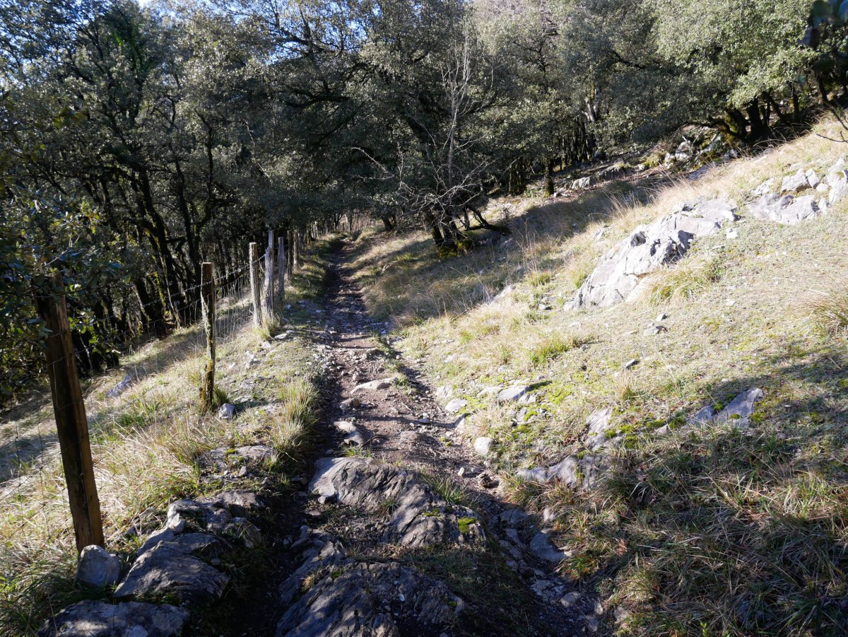 Artadian barrena, Arterreka arrobiaren gainaldeko tartean