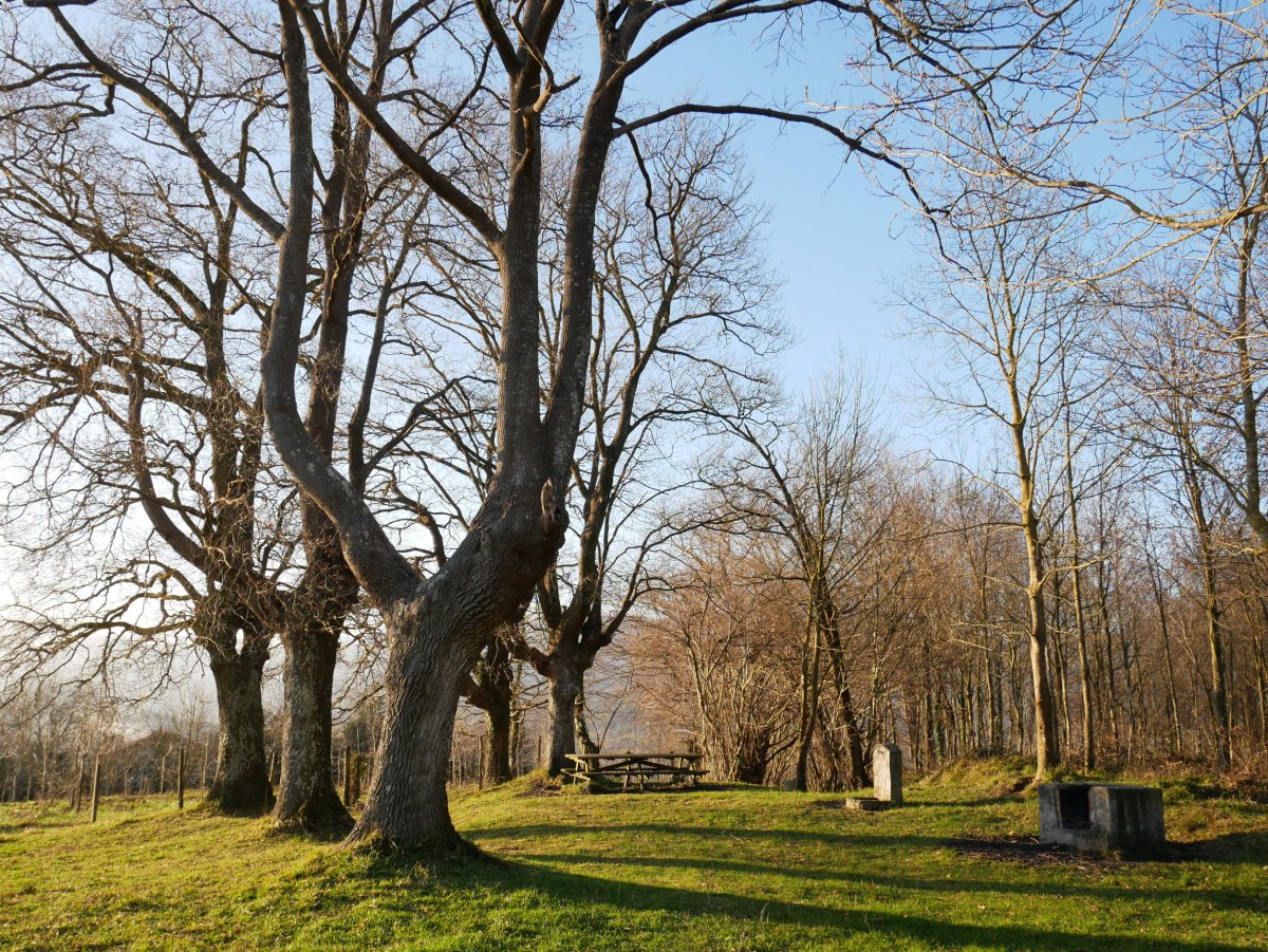 Gereizeagako aisigunea