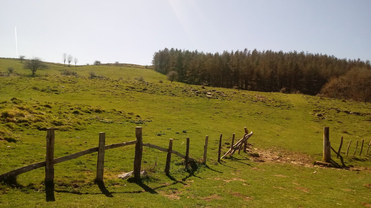 Lagarte (811m) igoera Aiztunaldetik