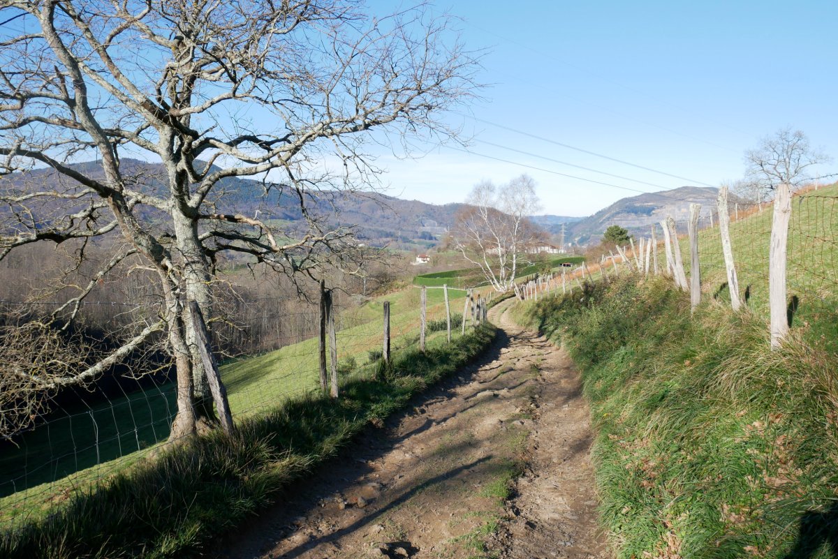 Mugarrietatik Txertuetara jaisten