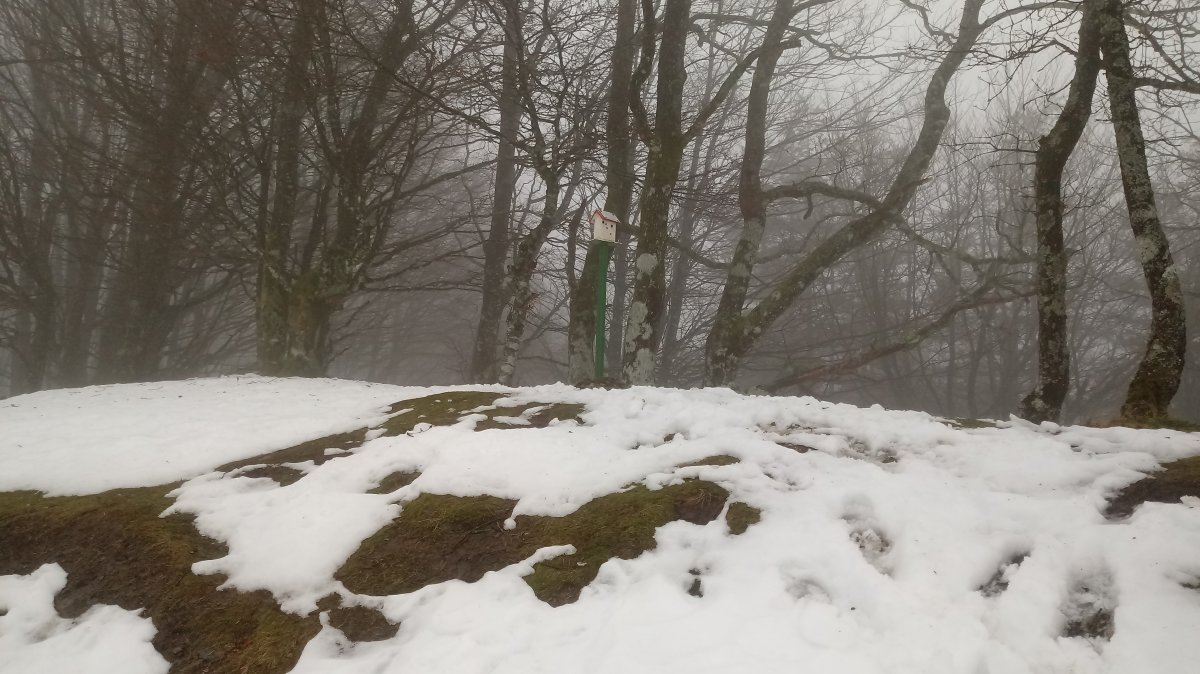 Arranoaitz (899m) tontorra