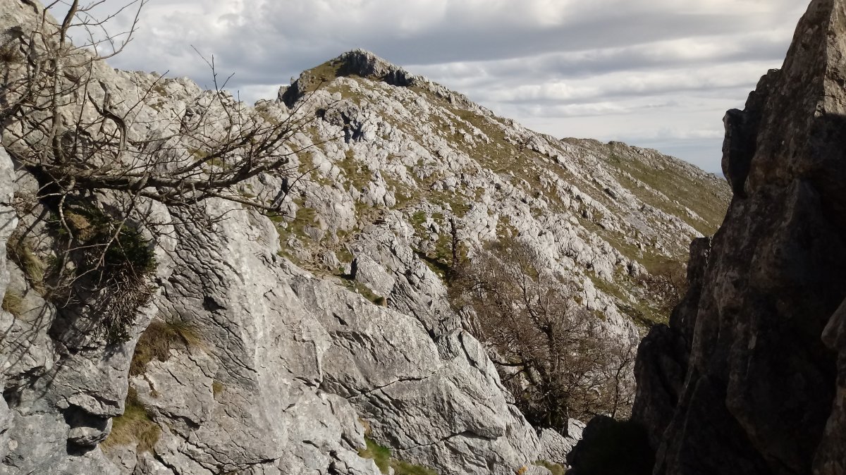 Aizkorri (1523m) sendatik hurbiltzen
