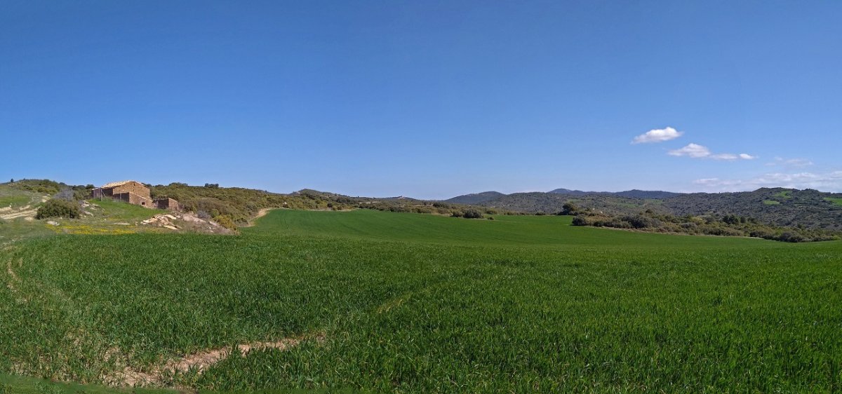 Abelbideko borda baten hondakinak