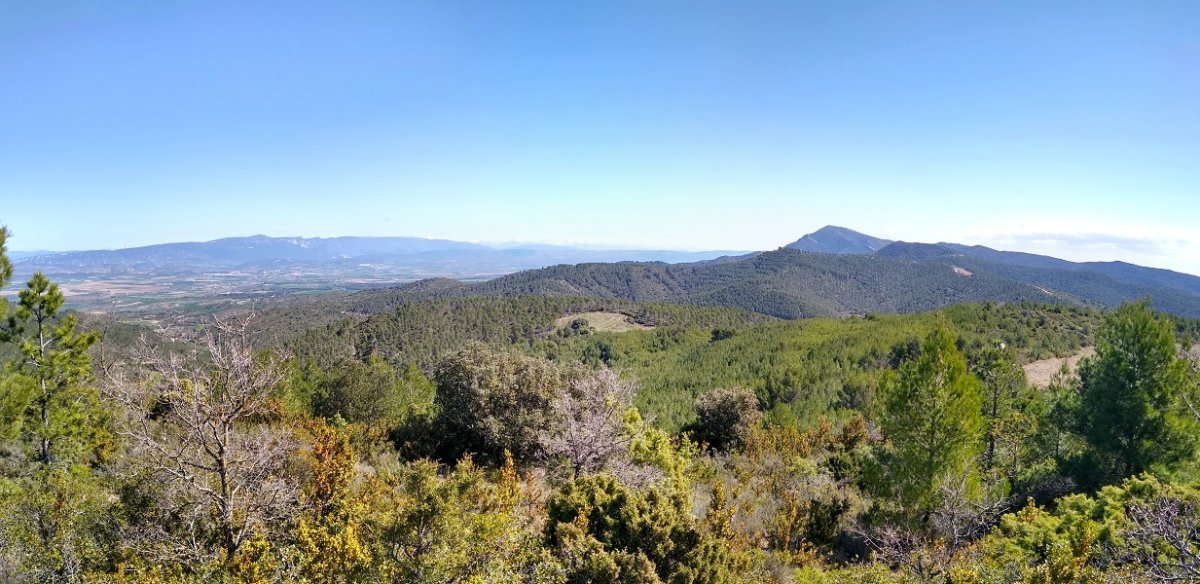 Peñako mendilerroa gailurretik