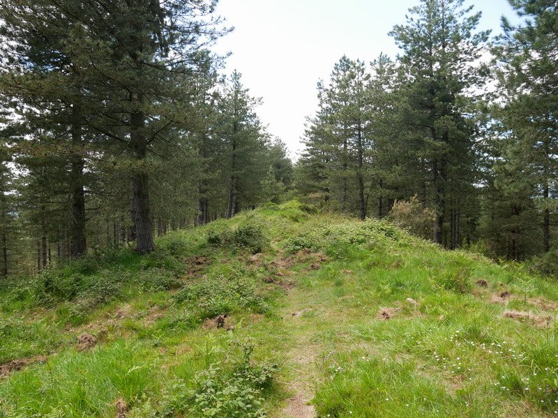 Mendebaldeko bizkarra