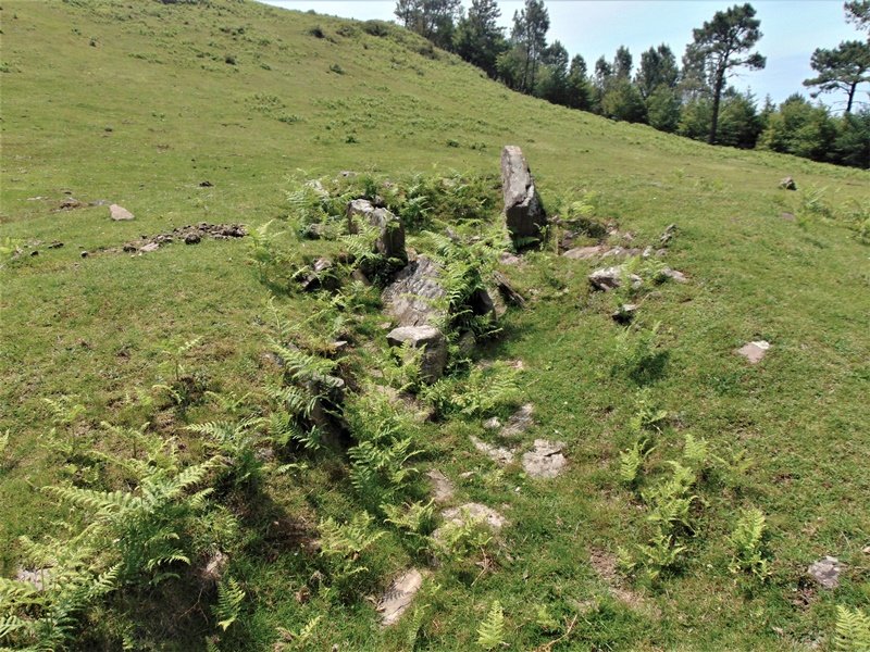Pozontarriko Lepoa Trikuharria