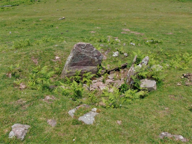 Pozontarriko Lepoa Trikuharria