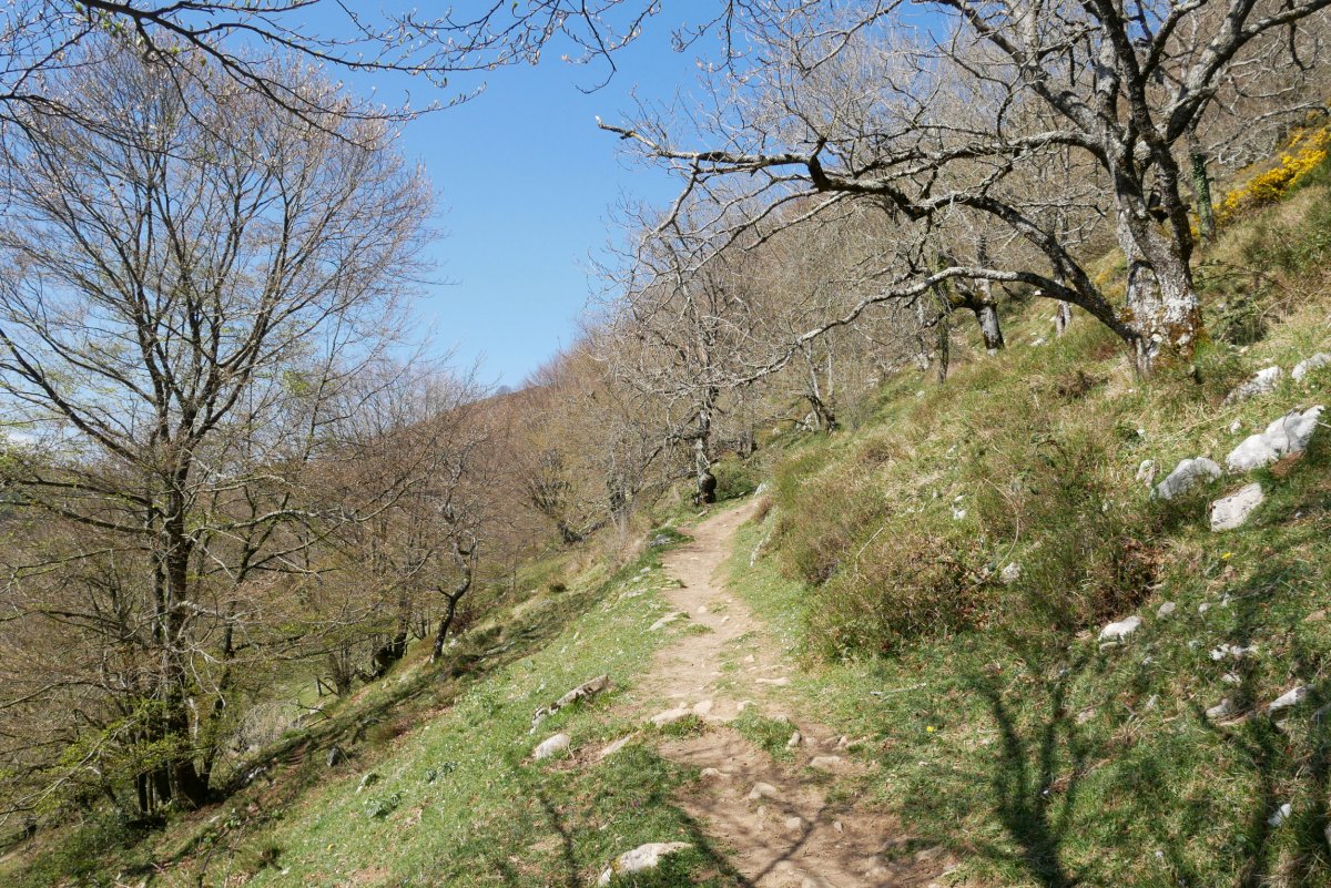 Igoera Hernialde aldetik