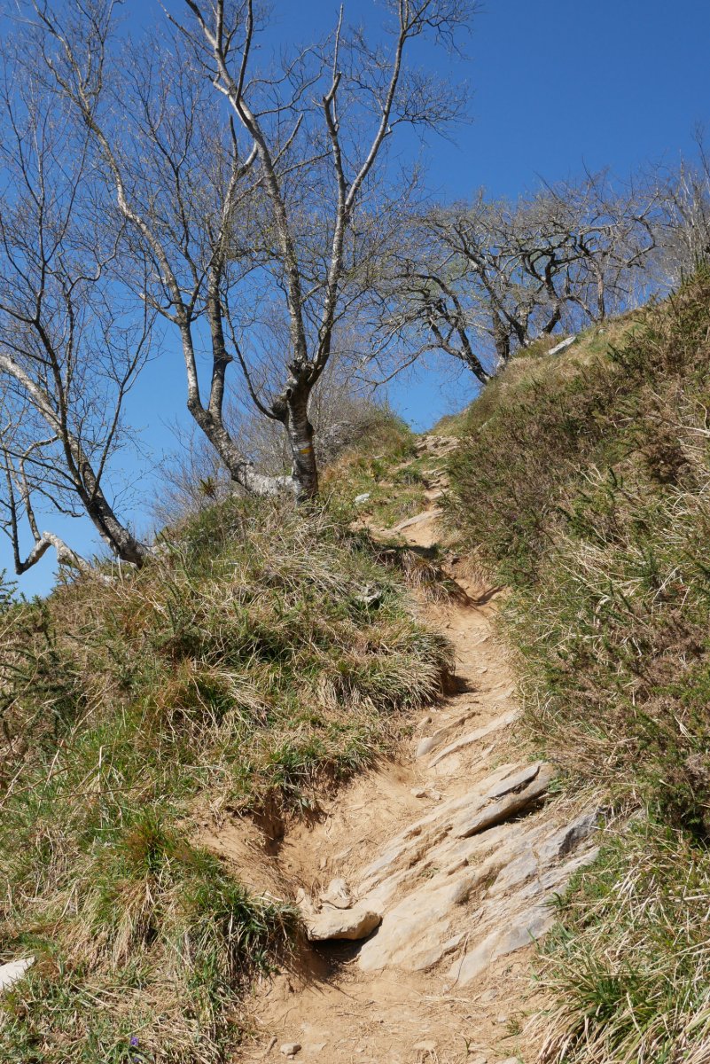 Igoera Hernialde aldetik