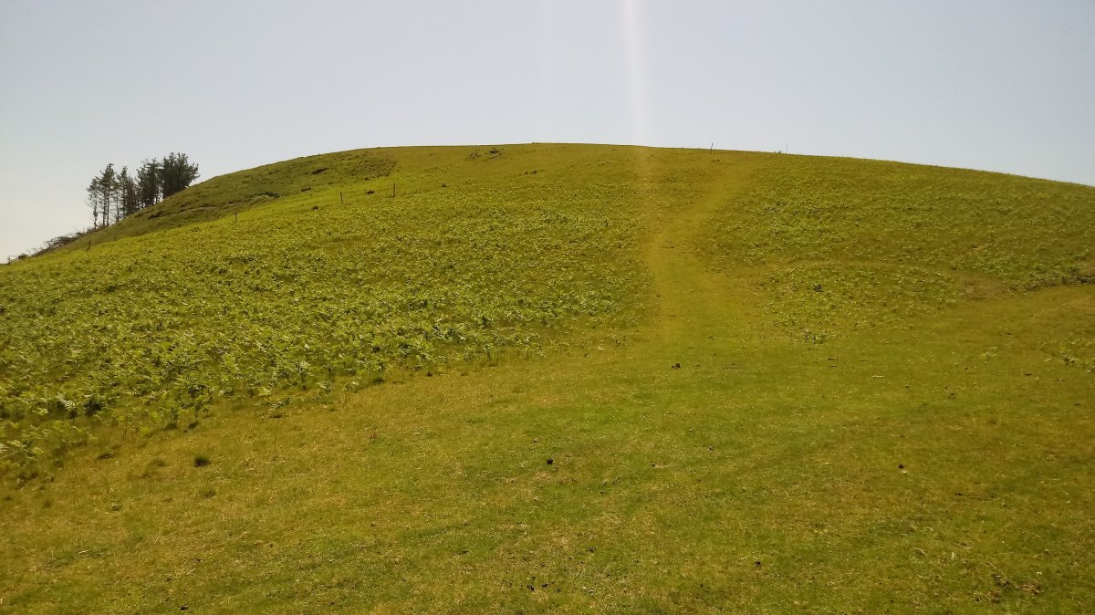 Arbil (434m) azken aldapa