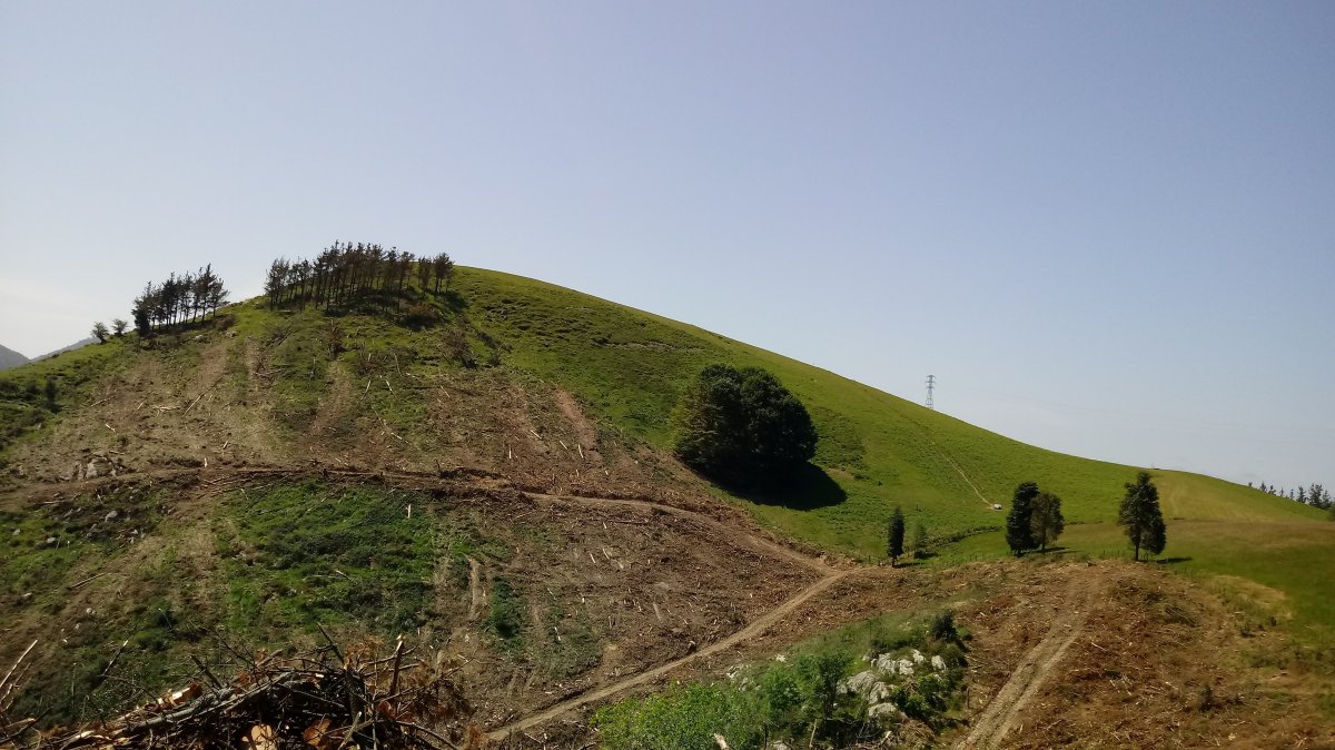 Arbil (434m) Lizarretarako bidetik