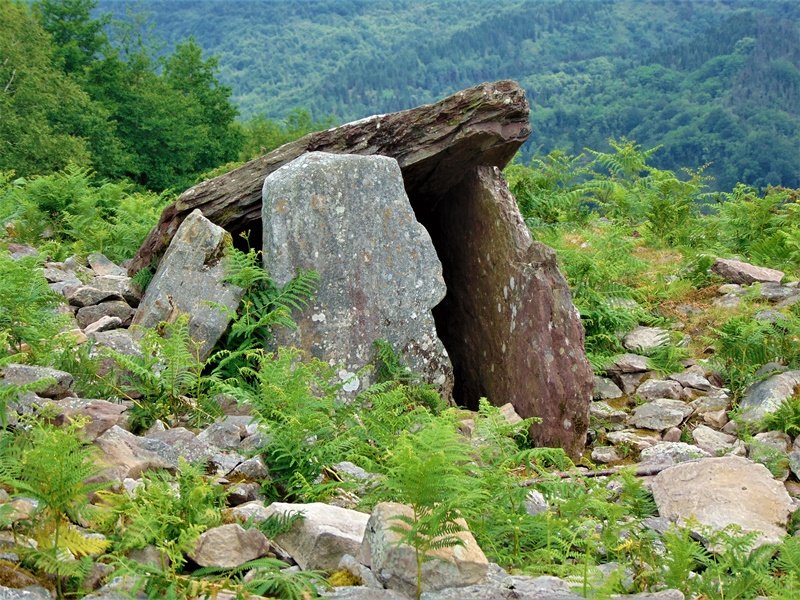 Sagastietako Lepua I Trikuharria