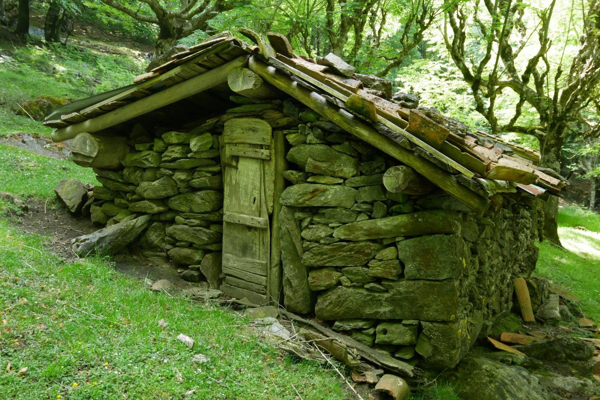 Borda, Otarra aldean