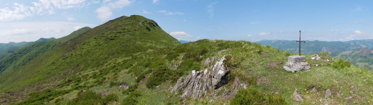 IEko bizkarreko ikuspegia